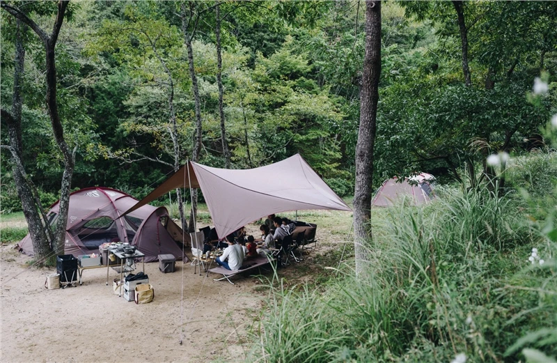 Snow Peak HD Tarp Sheild Hexa Evo Pro 2022 15 Snow Peak HD Tarp Sheild Hexa Evo Pro 2022 - Image 15