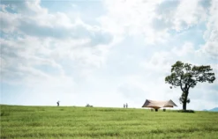 Snow Peak HD Tarp Sheild Hexa Evo Pro 2022 24 Snow Peak HD Tarp Sheild Hexa Evo Pro 2022 -Trailblazer Camping 31037 9