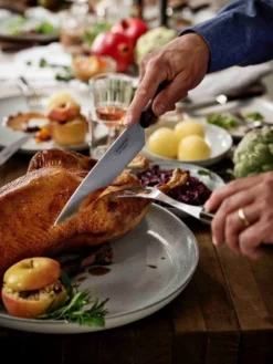 Tramontina Carving Set Brown - Set Of 2 -Trailblazer Camping 31223 4