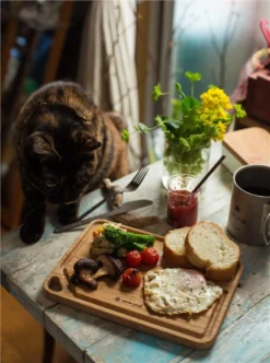 Snow Peak My Plate -Trailblazer Camping 33484 8