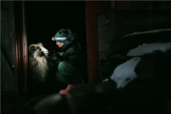 Silva Terra Scout XT Head Torch 19 Silva Terra Scout XT Head Torch -Trailblazer Camping 34861 6