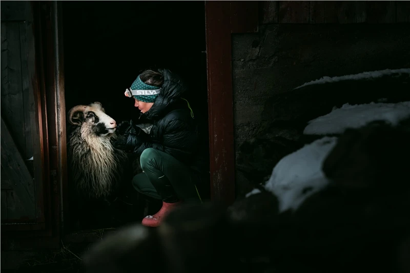 Silva Terra Scout XT Head Torch 7 Silva Terra Scout XT Head Torch - Image 7